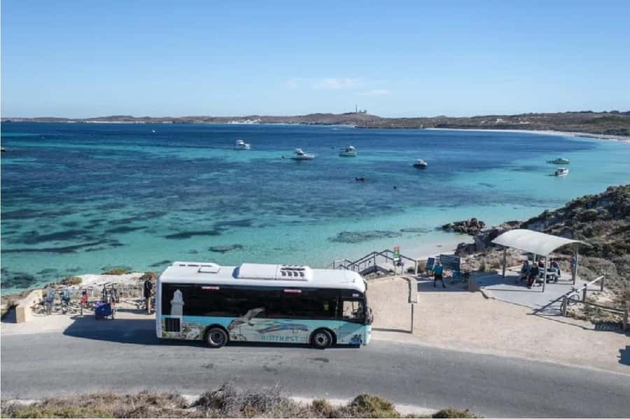 Rottnest Island Ferry and 1.75 Hr Bus Tour - Wadjemup Lighthouse and the island’s higher ground