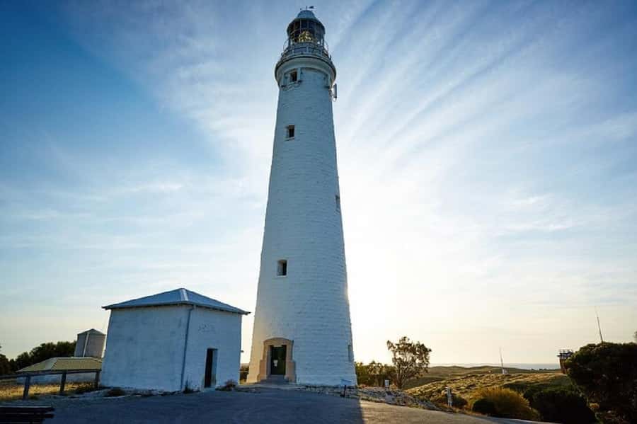 Rottnest Island Ferry and 1.75 Hr Bus Tour - Beaches, salt lakes, woodlands, and wildlife