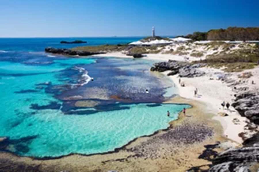 Rottnest Island Ferry and 1.75 Hr Bus Tour - Who should book this Rottnest day trip?