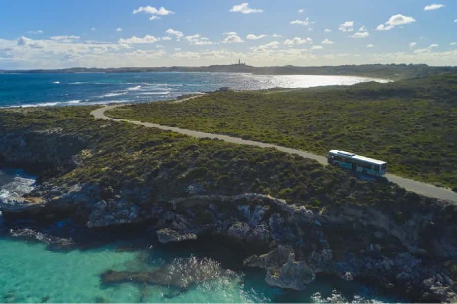 Rottnest Island Ferry and 1.75 Hr Bus Tour - A practical way to see Rottnest Island