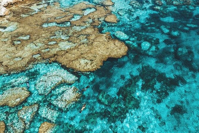 Rottnest Island Round Trip Ferry from Fremantle - Key points for planning your Rottnest day