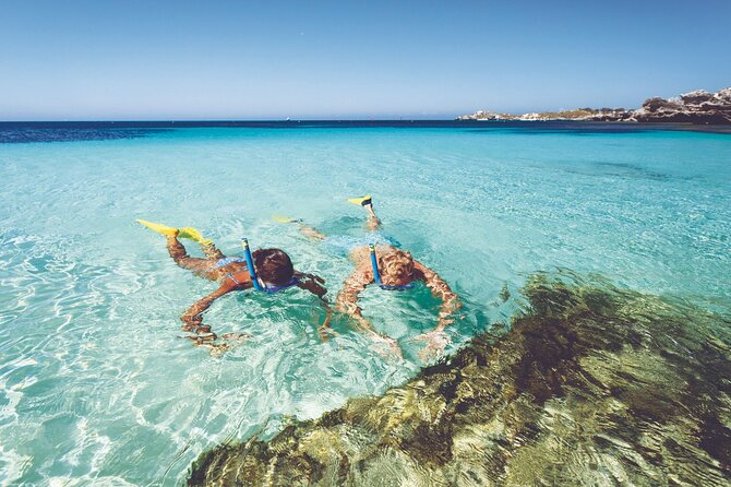 Rottnest Island Round-Trip Ferry from Perth - Key points to know before booking