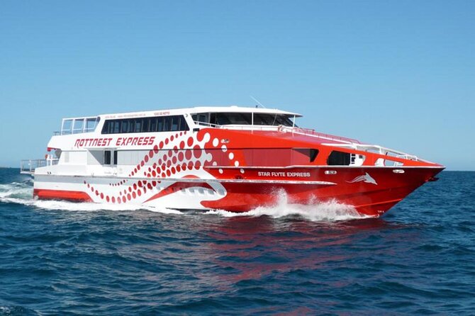 Rottnest Island Round-Trip Ferry from Perth - Quokkas are the island’s small celebrities