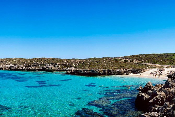 Rottnest Island Roundtrip Fast Ferry from Hillarys Boat Harbour - Cycling Rottnest by standard bike or e-bike