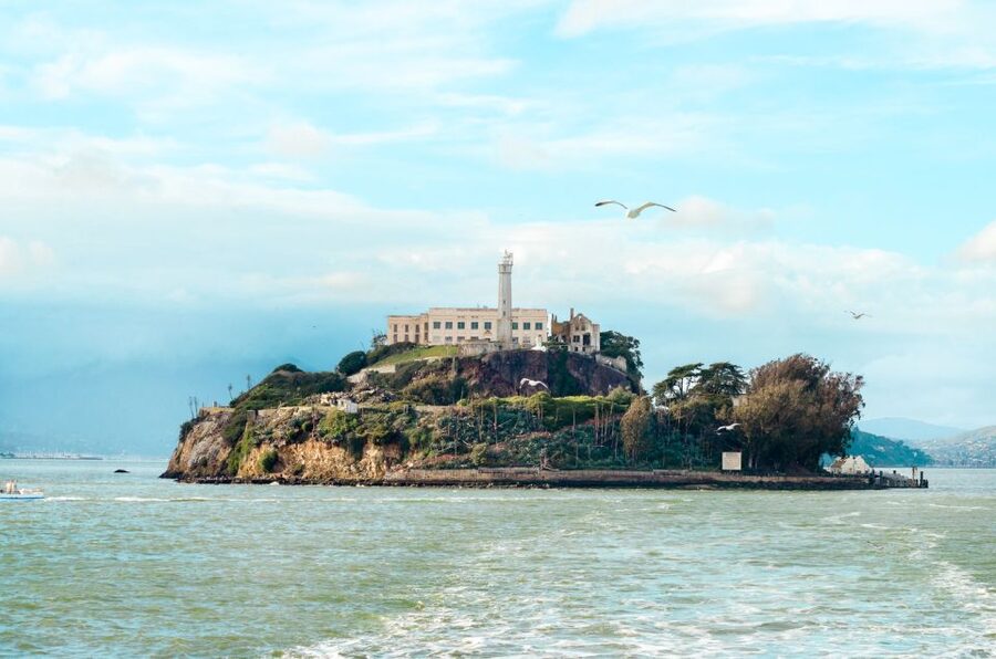 San Francisco: Hop-On Hop-Off Bus with Ferry & Alcatraz Tour - The night tour gives you a different city