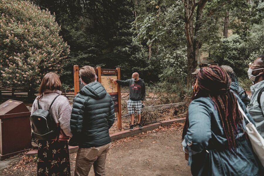 San Francisco: Morning Muir Woods & Sausalito Tour w/ Ferry - Why this half-day route works