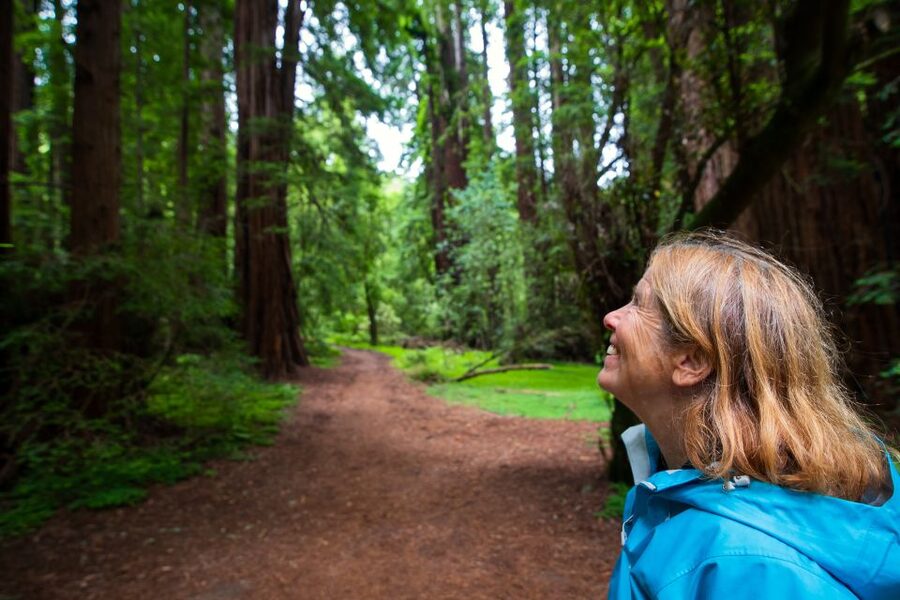San Francisco: Morning Muir Woods & Sausalito Tour w/ Ferry - My verdict