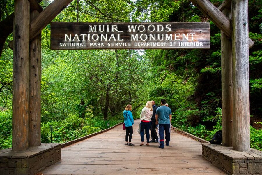 San Francisco: Morning Muir Woods & Sausalito Tour w/ Ferry - Sausalito for lunch and waterfront views