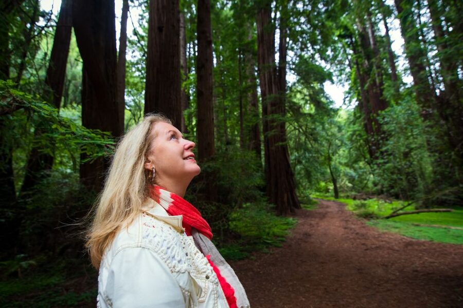 San Francisco: Morning Muir Woods & Sausalito Tour w/ Ferry - Who should book this Muir Woods and Sausalito tour?