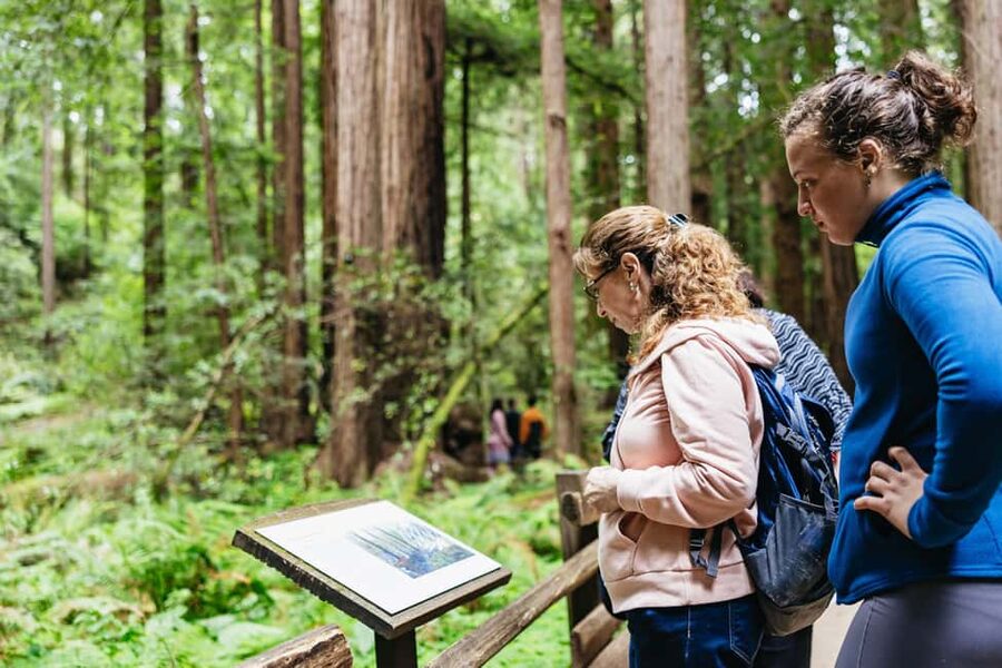 San Francisco: Muir Woods & Sausalito Tour with Ferry Option - Why Muir Woods makes this half-day worthwhile