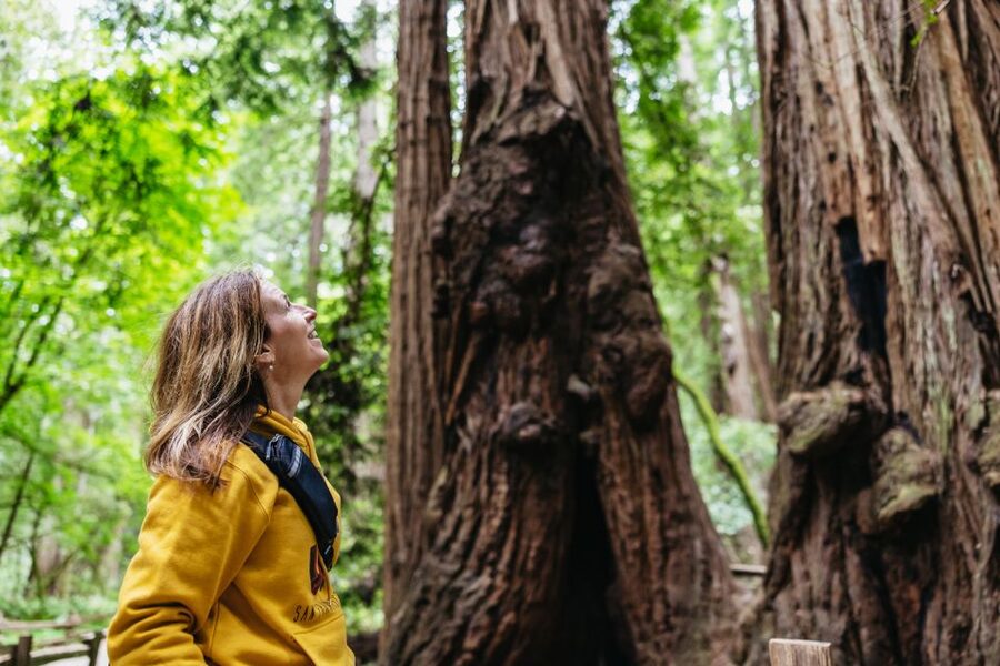 San Francisco: Muir Woods & Sausalito Tour with Ferry Option - The bus ride across the Golden Gate Bridge