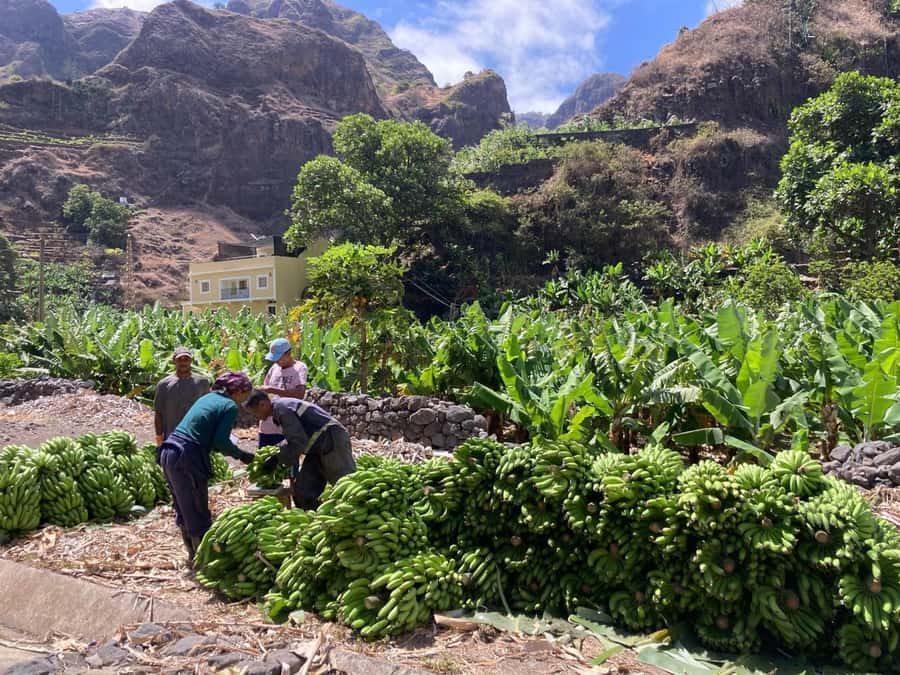 Santo Antão Highlights: Day Trip by Car with Ferry from SV - Porto Novo and the climb to Cova de Paúl