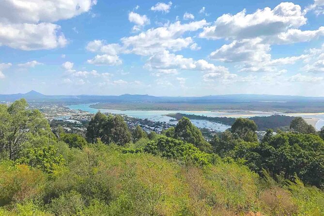 Secrets of Noosa Tour with Oceanview Lunch, Nature & Noosa River Ferry - The Noosa River ferry makes the return scenic