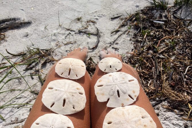 Shell Key Ferry from Ft. DeSoto Boat Ramp in Tierra Verde, FL - The shade problem is real