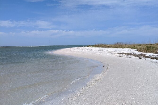 Shell Key Ferry from Ft. DeSoto Boat Ramp in Tierra Verde, FL - How the price compares with the experience