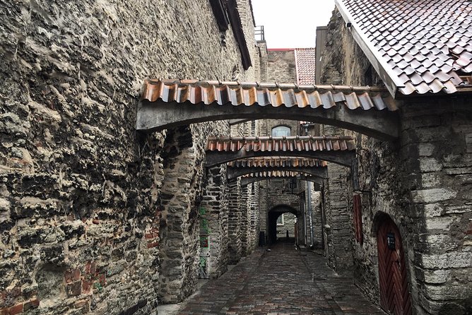 Tallinn Day Tour from Helsinki (Ferry Tickets+ Guiding+ Own Time) - Who should book this day trip?