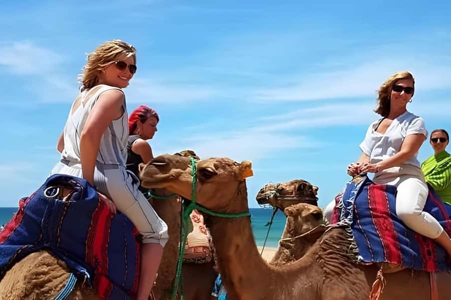 Tarifa/Algeciras: Tangier Private Day Tour with Ferry Ticket - Walking through Bab Kasbah and the Medina