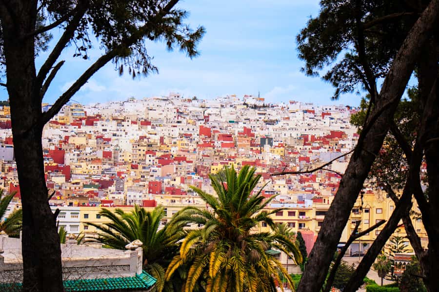 Tarifa: Day trip to Tangier by ferry with exclusive VIP service - The camel ride and Tangier viewpoints