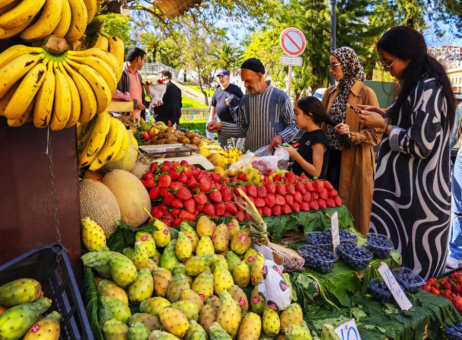 Tarifa: Day trip to Tangier by ferry with exclusive VIP service - Moroccan lunch in the Iberia district