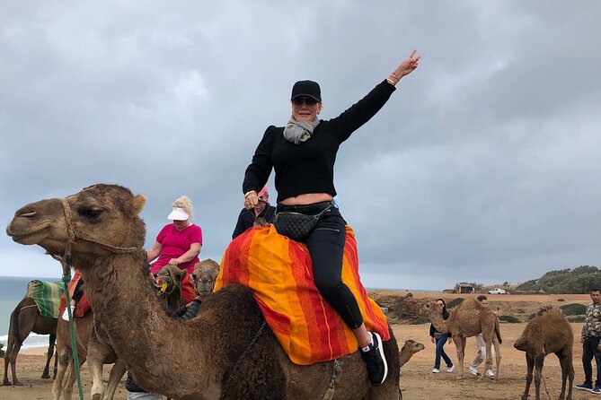 Tarifa to Tangier Tour with ferry ticket , lunch & camel ride - Key points at a glance
