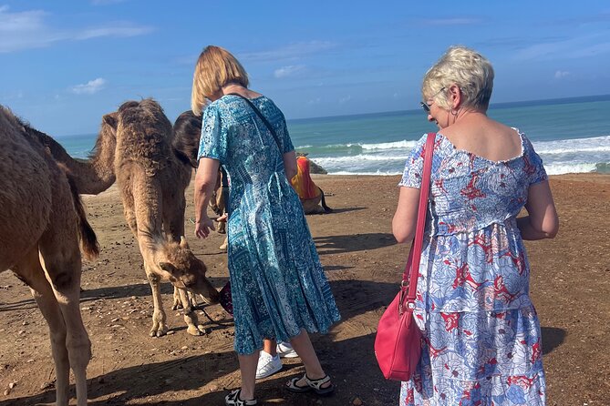 Tarifa to Tangier Tour with ferry ticket , lunch & camel ride - Perdicaris Park and the meeting point of two seas