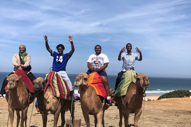 Tarifa to Tangier Tour with ferry ticket , lunch & camel ride - Inside the Kasbah and the former Sultan’s palace