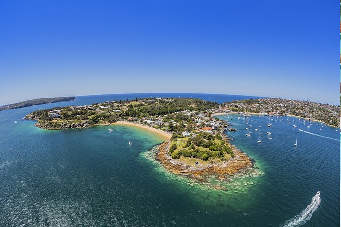 Taronga Zoo + Ferry Return Ticket - Manly: the strongest extra stop