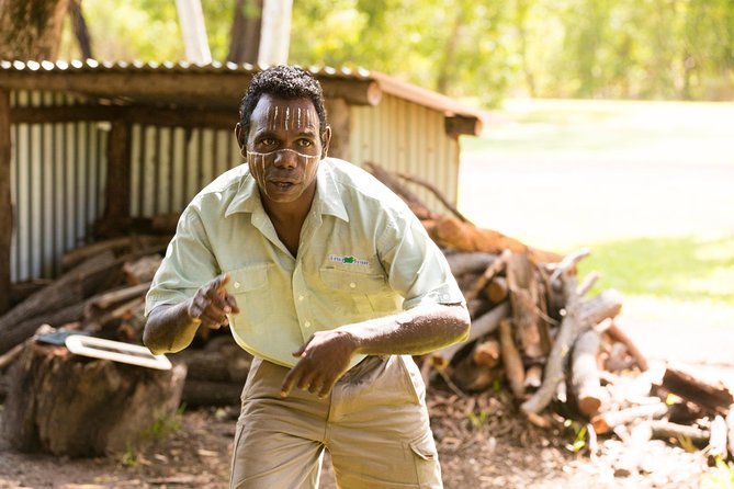 Tiwi Islands Cultural Experience from Darwin Including Ferry - Why the Tiwi Islands feel different from mainland Darwin