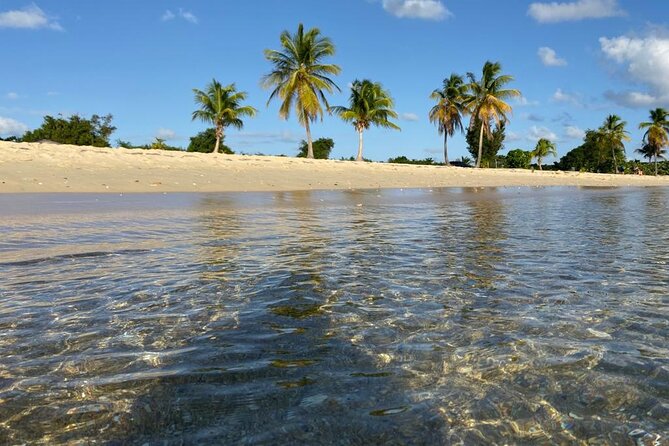 Vieques Bio Bay Tour and Beach Day Trip from San Juan by Ferry - The ferry crossing to Vieques