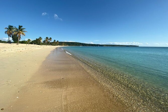 Vieques Bio Bay Tour and Beach Day Trip from San Juan by Ferry - Dinner and sunset along Esperanza’s Malecón
