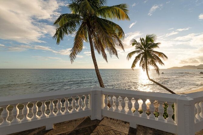 Vieques Bio Bay Tour and Beach Day Trip from San Juan by Ferry - Is the $230 price good value?