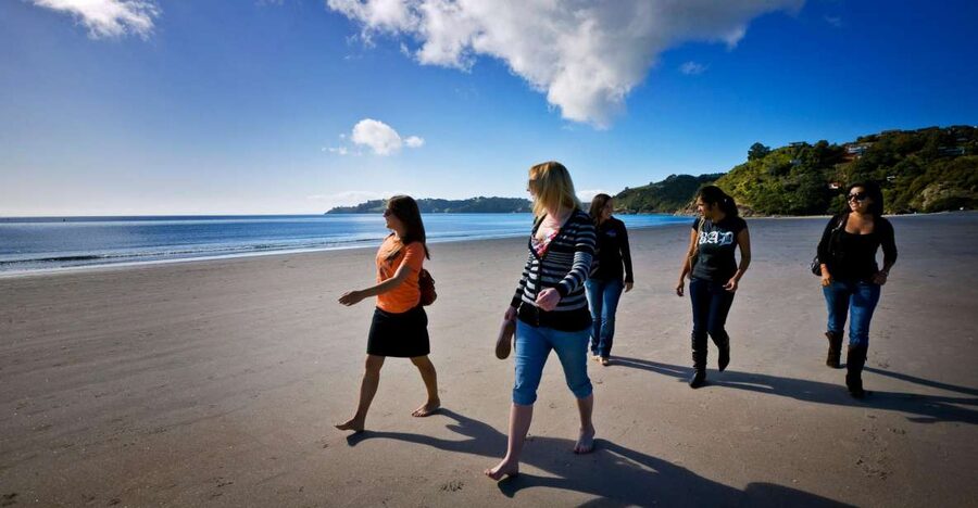 Waiheke Island: Ferry & Hop-On Hop-Off Explorer Bus Tickets - Is $59 good value?